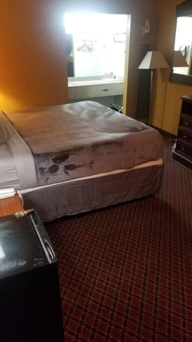Osu King Bed 112 Wi-fi
